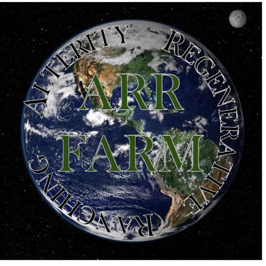 What Earth Day is actually trying to tell you (without making it complicated)