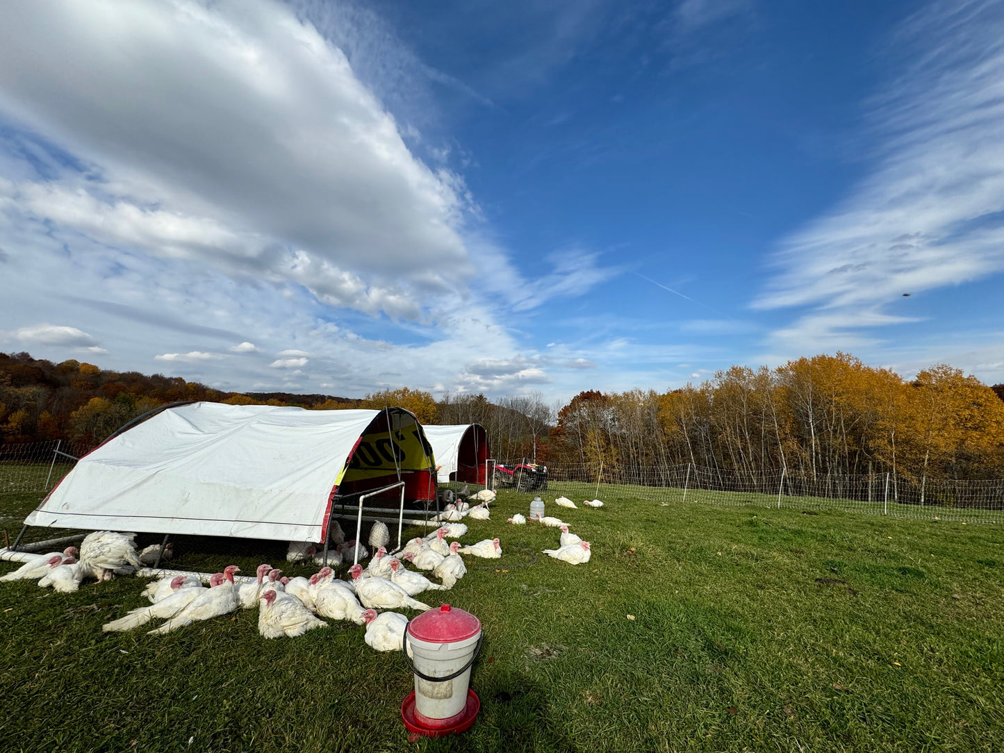 2025 Preorder Deposit Turkey image 4