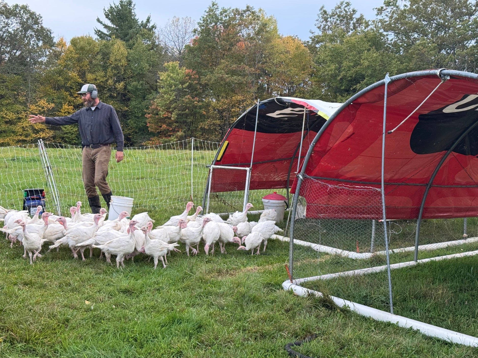 2025 Preorder Deposit Turkey image 5