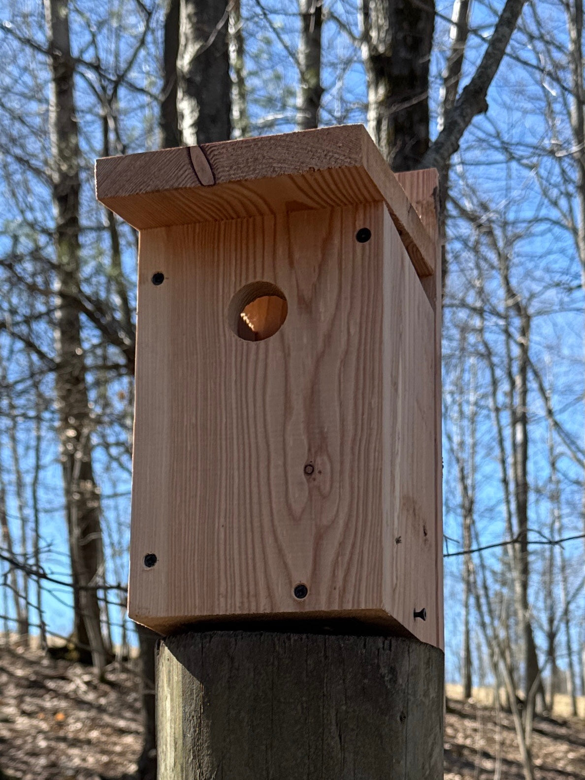 Handmade Birdhouse