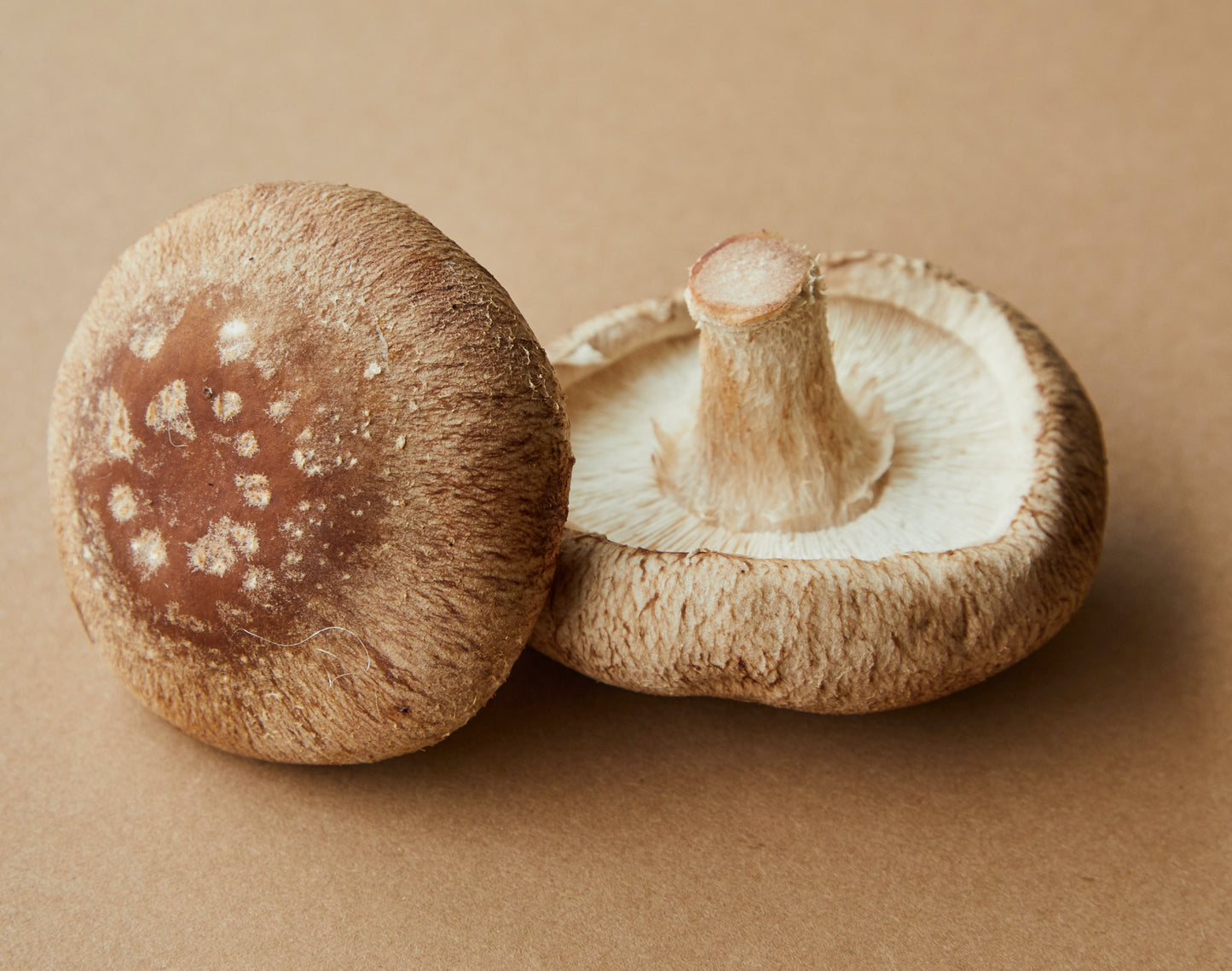 Shitake Mushrooms image 0