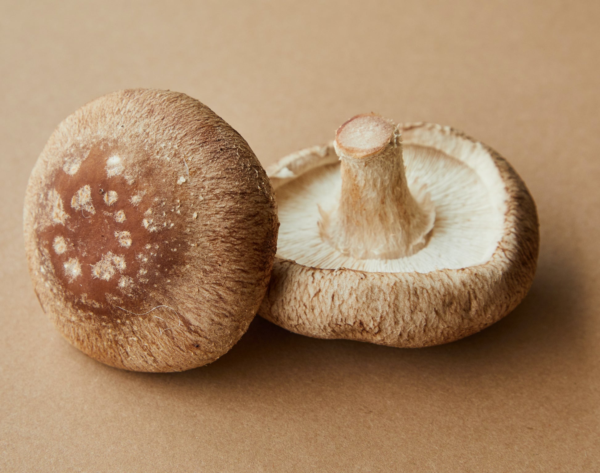 Shitake Mushrooms image 0